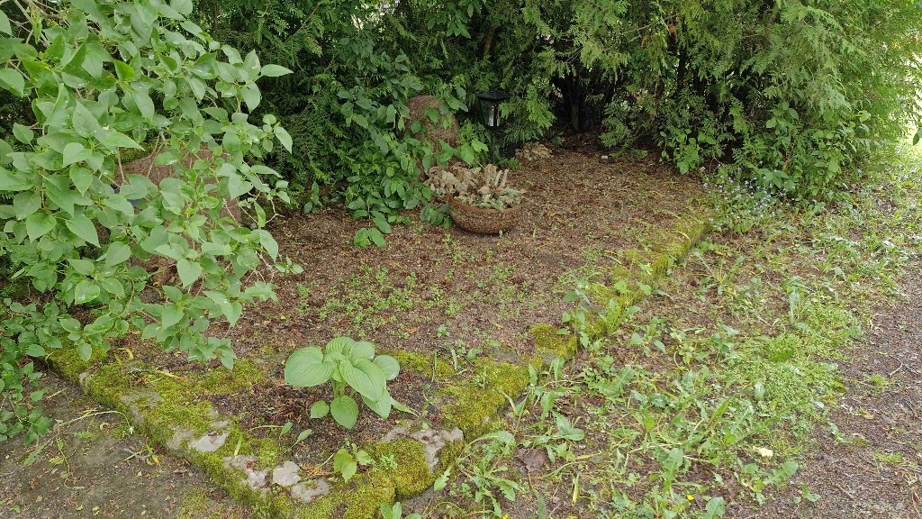 Randvere kalmistu - puhastasime paekivist hauapiided ning vahetasime pinnase punase graniitkillustiku vastu